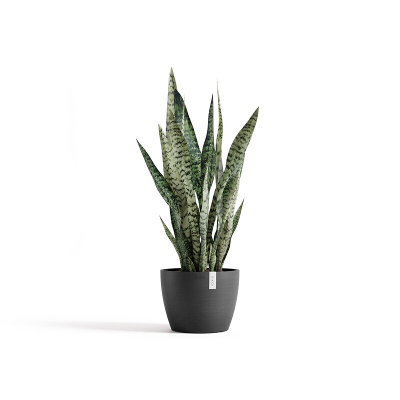Ecopots Stockholm 24 Dark Grey