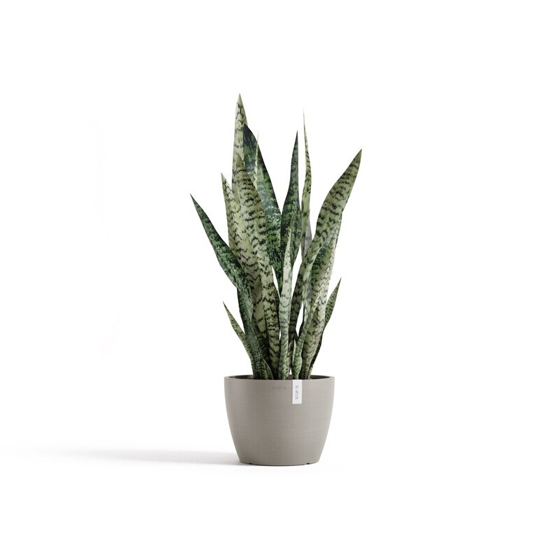 Ecopots Stockholm 24 Taupe