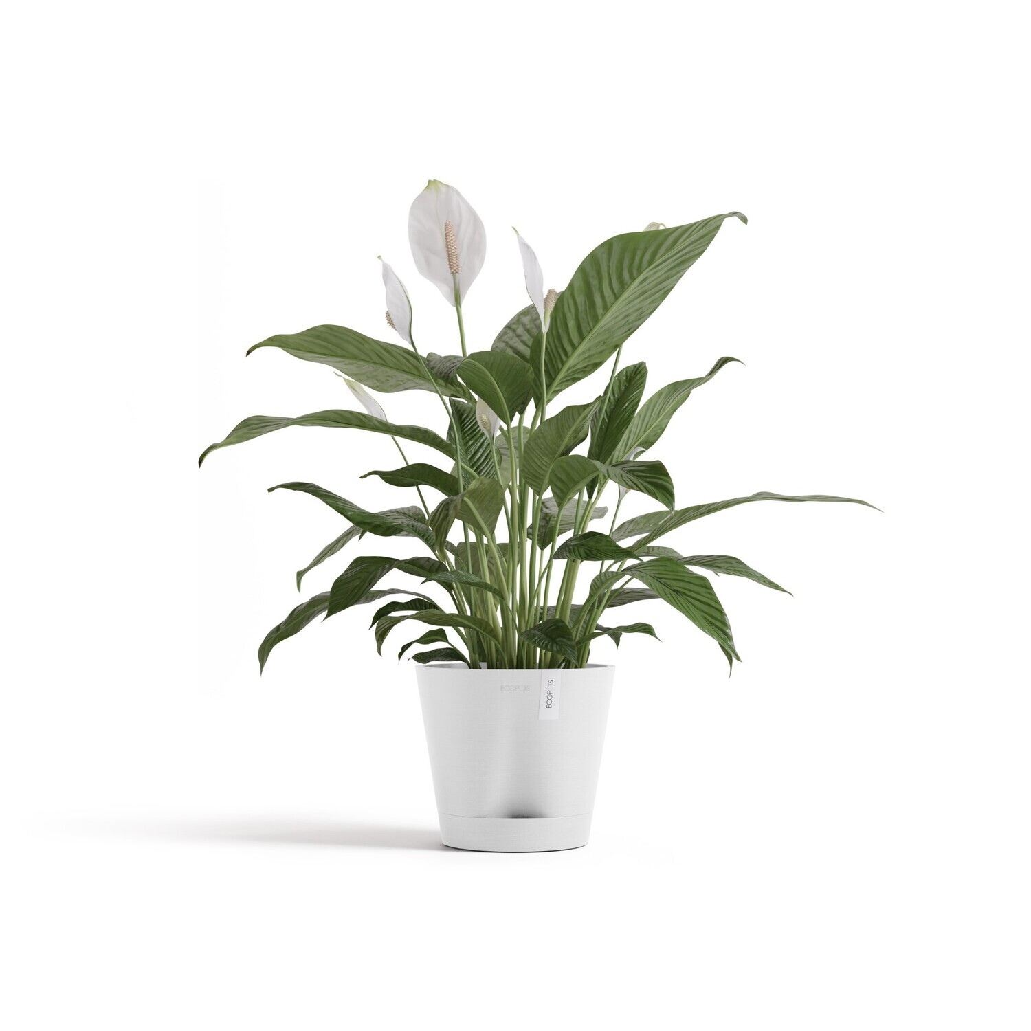 Ecopots Venice 2 20 Pure White