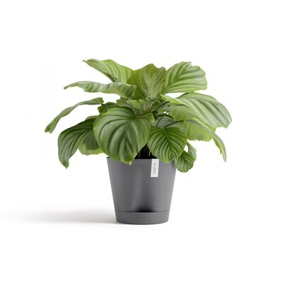 Ecopots Venice 2 30 Grey