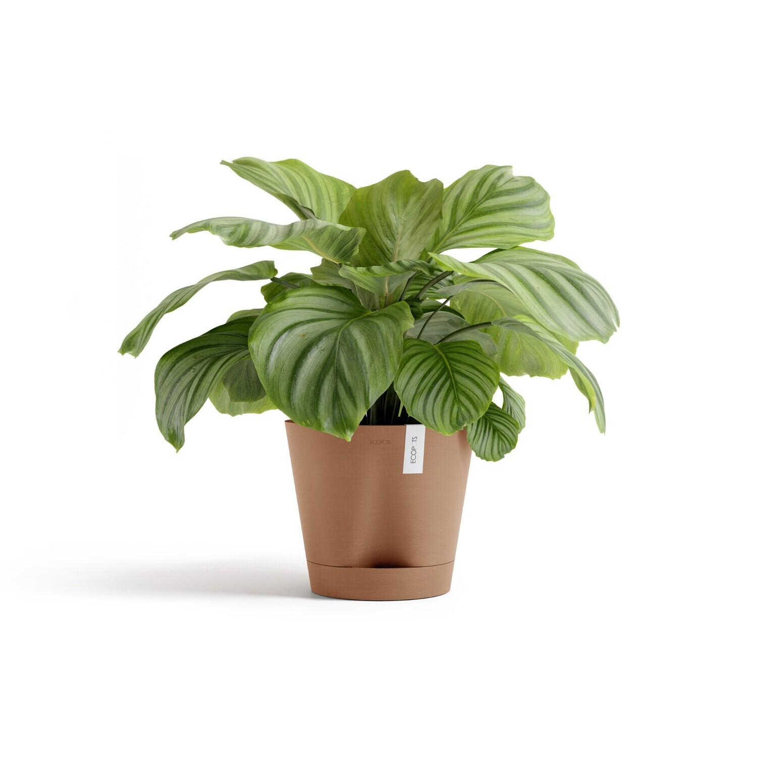 Ecopots Venice 2 30 Terracotta Ecopots Venice 2 30 Terracotta