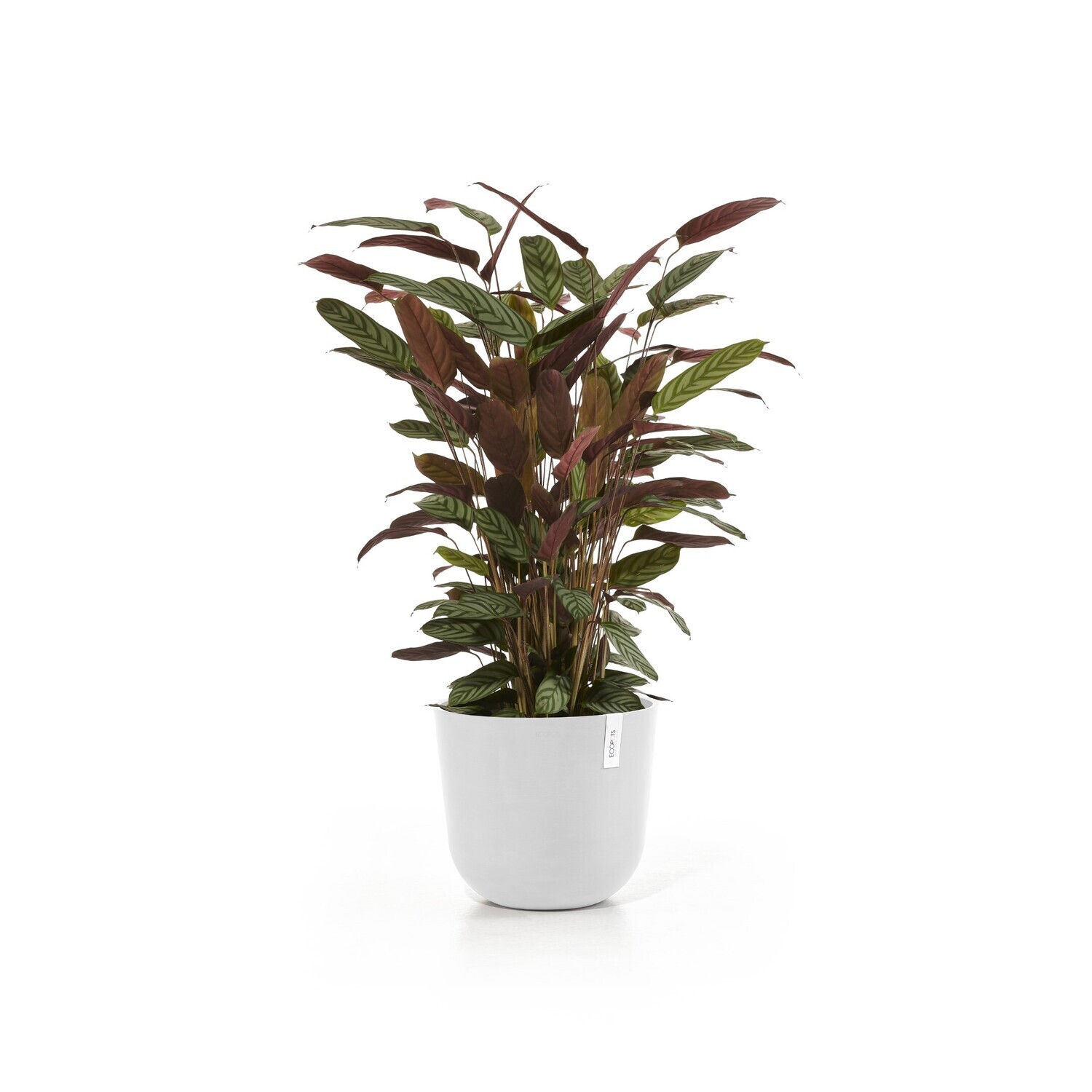 Ecopots Oslo 35 Pure White Ecopots Oslo 35 Pure White