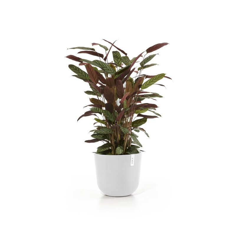 Ecopots Oslo 35 Pure White