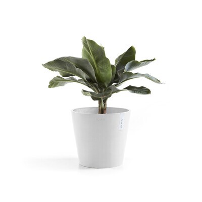 Ecopots Amsterdam 40 Pure White + water reservoir