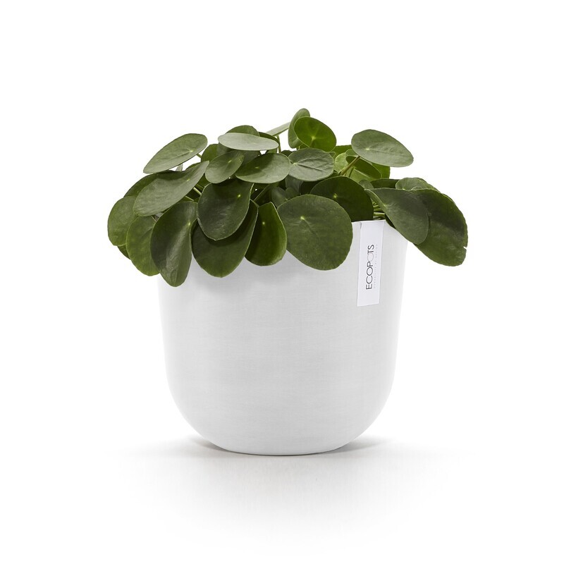 Ecopots Oslo 25 Pure White