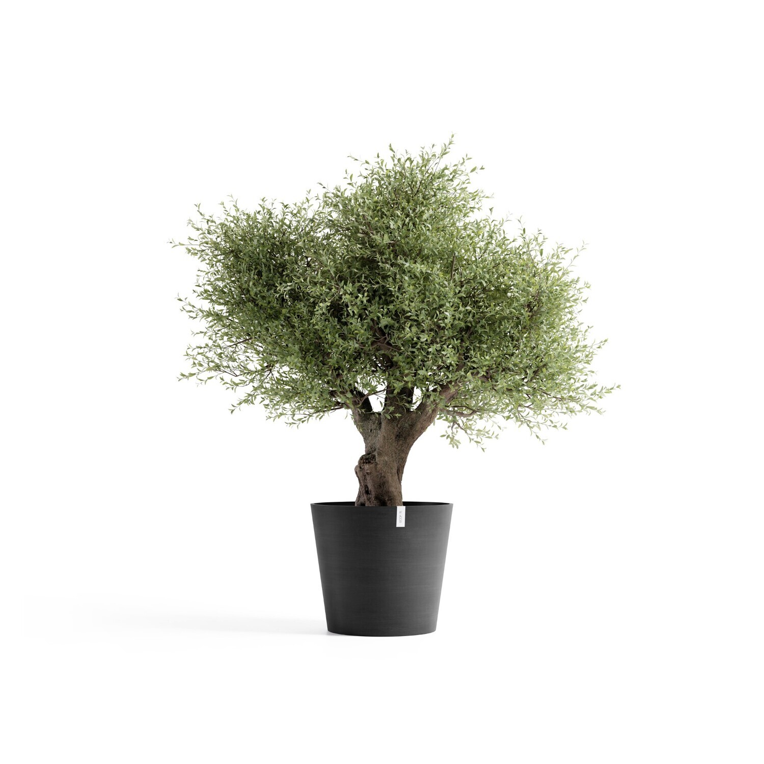 Ecopots Amsterdam 70 Dark Grey