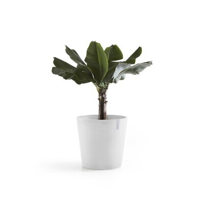 Ecopots Amsterdam 60 Pure White