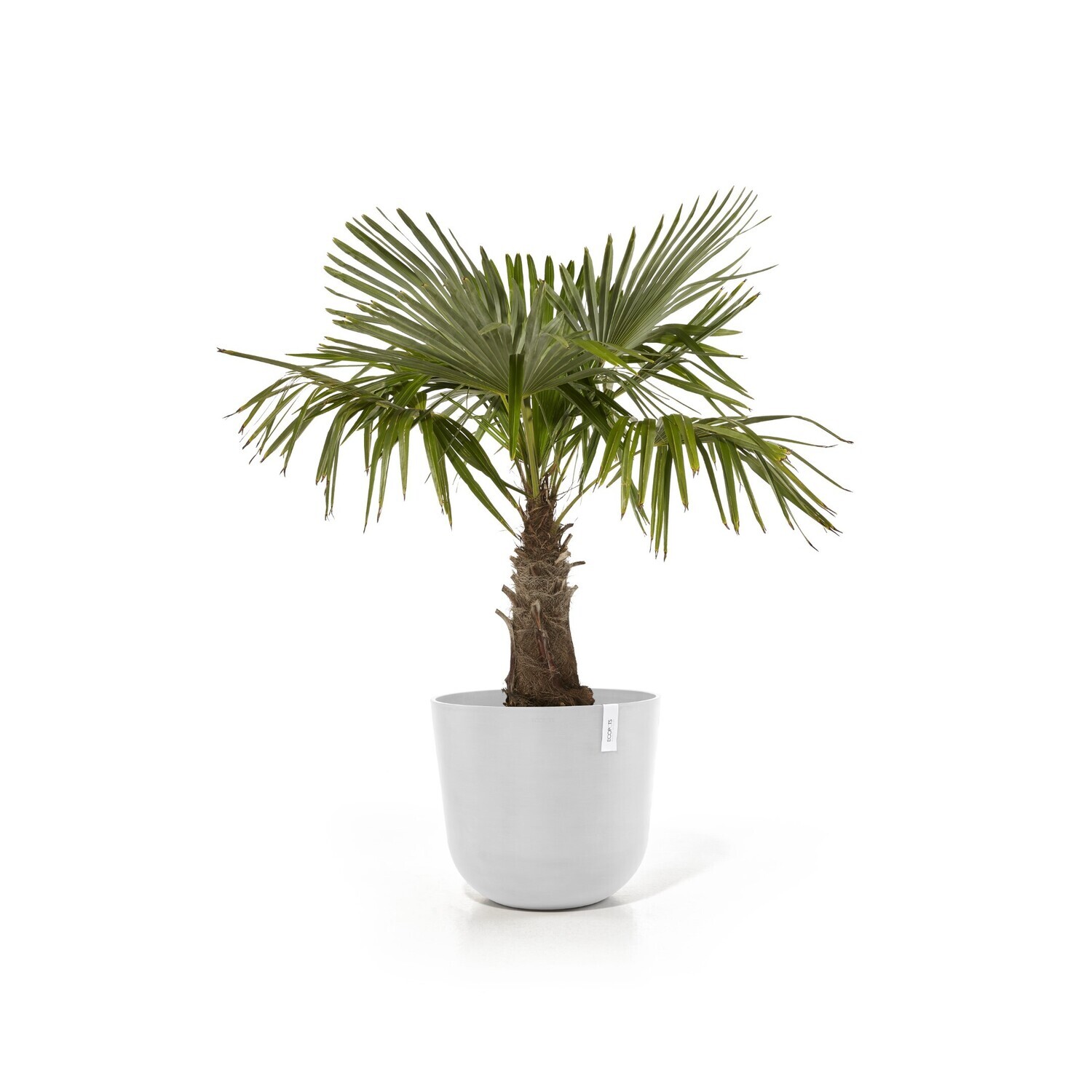 Ecopots Oslo 55 Pure White