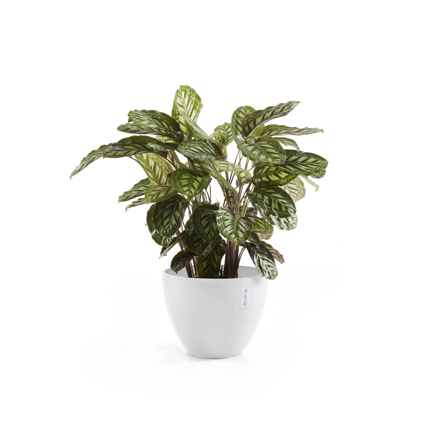 Ecopots Antwerp 30 Pure White