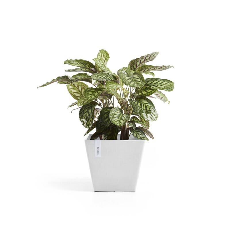 Ecopots Rotterdam 50 Pure White