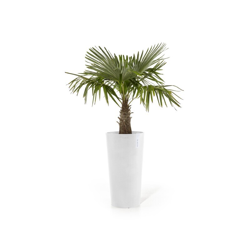 Ecopots Amsterdam Mid High 66 Pure White