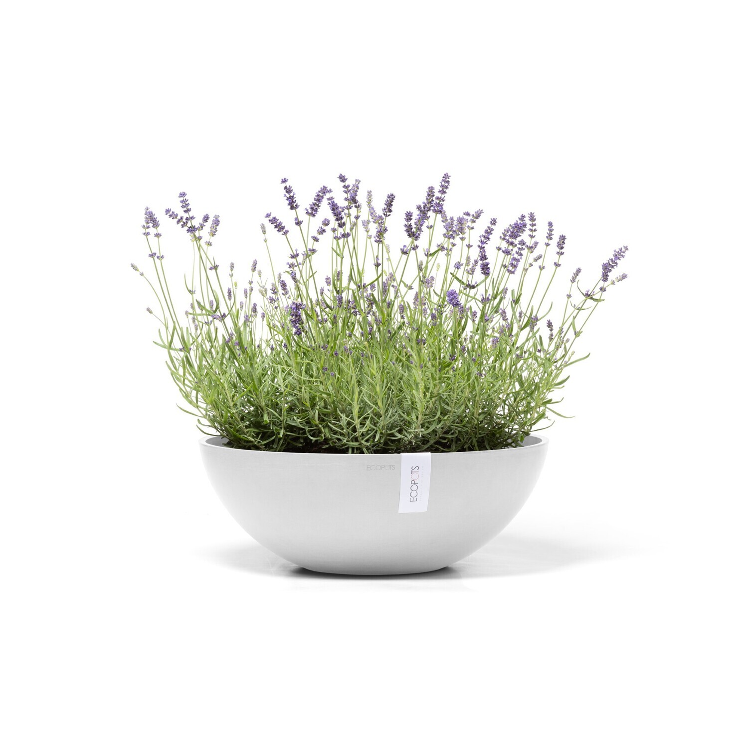Ecopots Vienna 50 Pure White