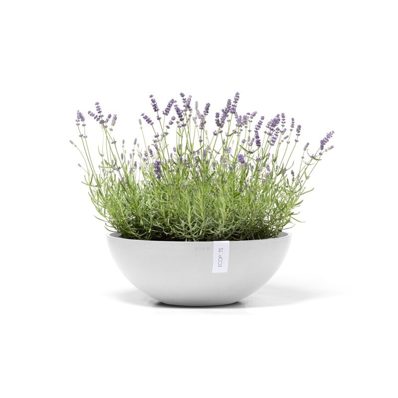 Ecopots Vienna 50 Pure White