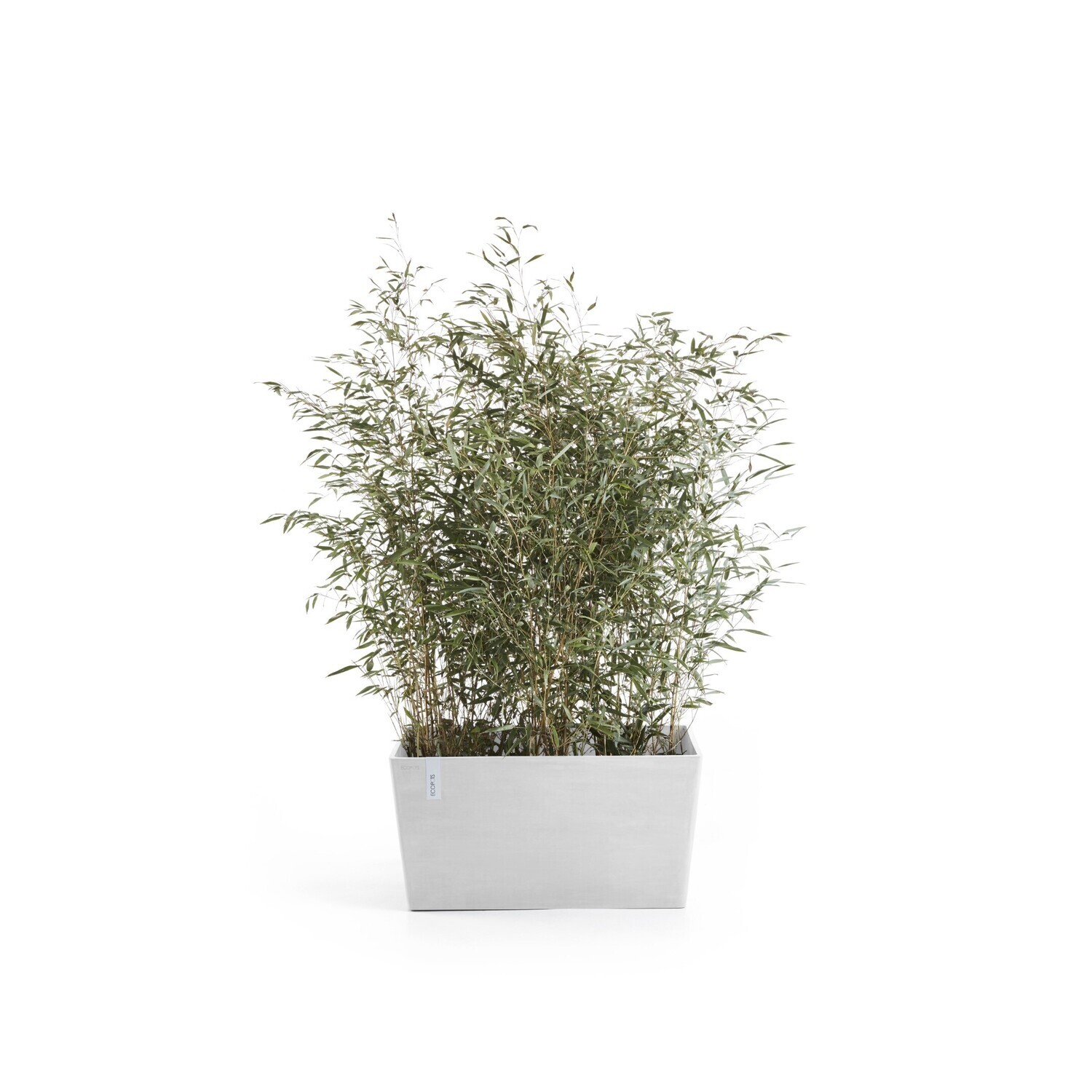 Ecopots Paris 80 Pure White