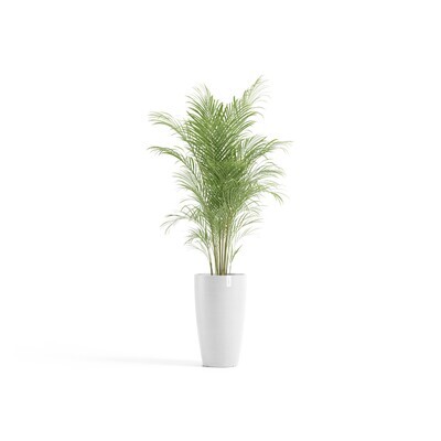 Ecopots Stockholm High 60 Pure White