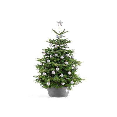 Christmas Tree Stand XL