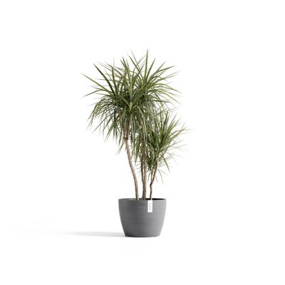 Ecopots Stockholm 40 Grey