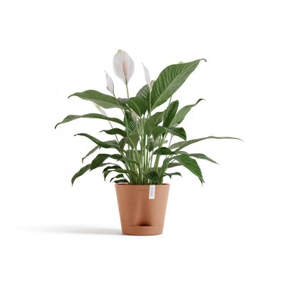 Ecopots Outlet