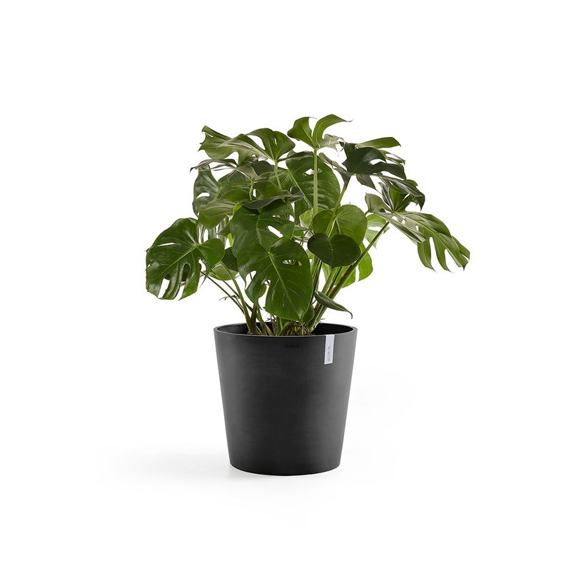 Ecopots Amsterdam 50 Dark Grey