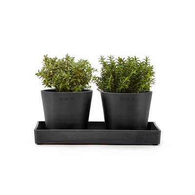 Ecopots Display Platter Amsterdam Mini 25 Dark Grey Ecopots Display Platter Amsterdam Mini 25 Dark Grey