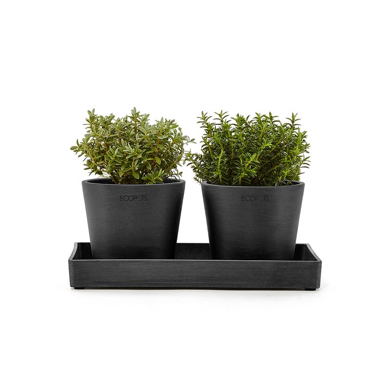 Ecopots Display Platter Amsterdam Mini 25 Dark Grey Ecopots Display Platter Amsterdam Mini 25 Dark Grey