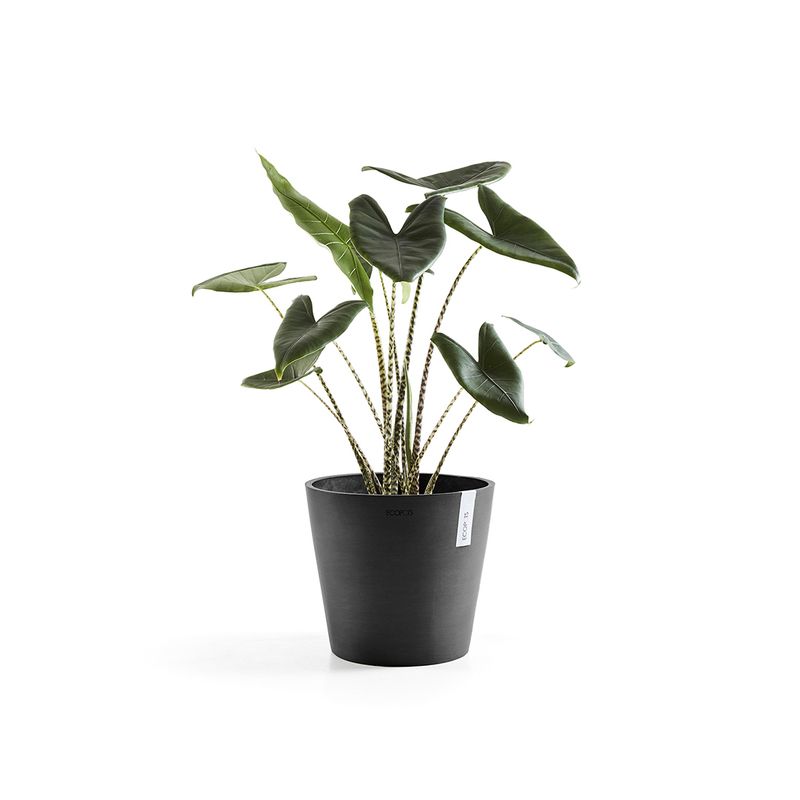 Ecopots Amsterdam 30 Dark Grey
