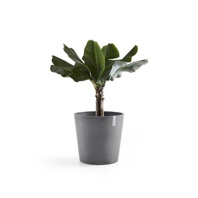 Ecopots Amsterdam 60 Grey