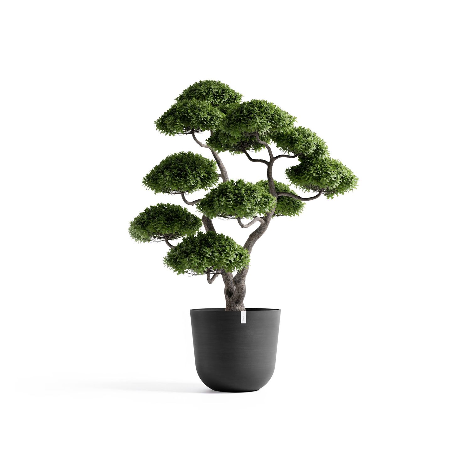 Ecopots Oslo 75 Dark Grey