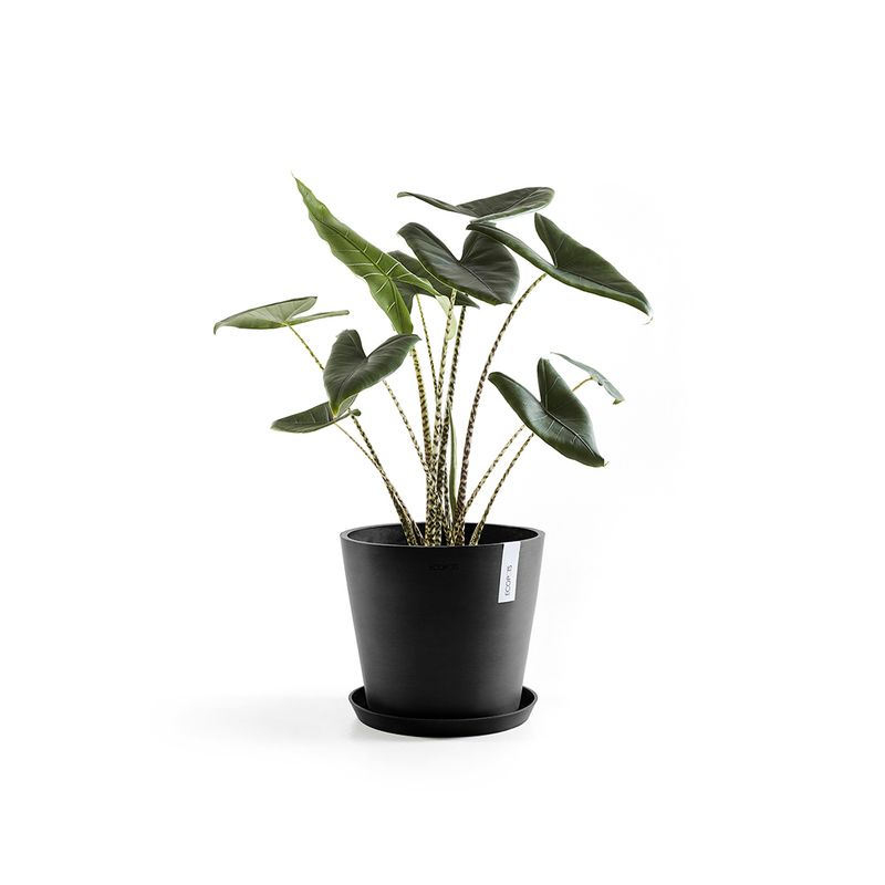 Ecopots Amsterdam 30 Dark Grey + Saucer Round 30 Dark Grey