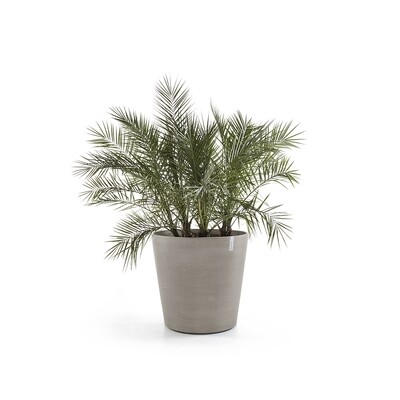 Ecopots Amsterdam Wheels 80 Taupe