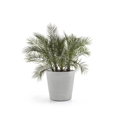 Ecopots Amsterdam Wheels 80 White Grey