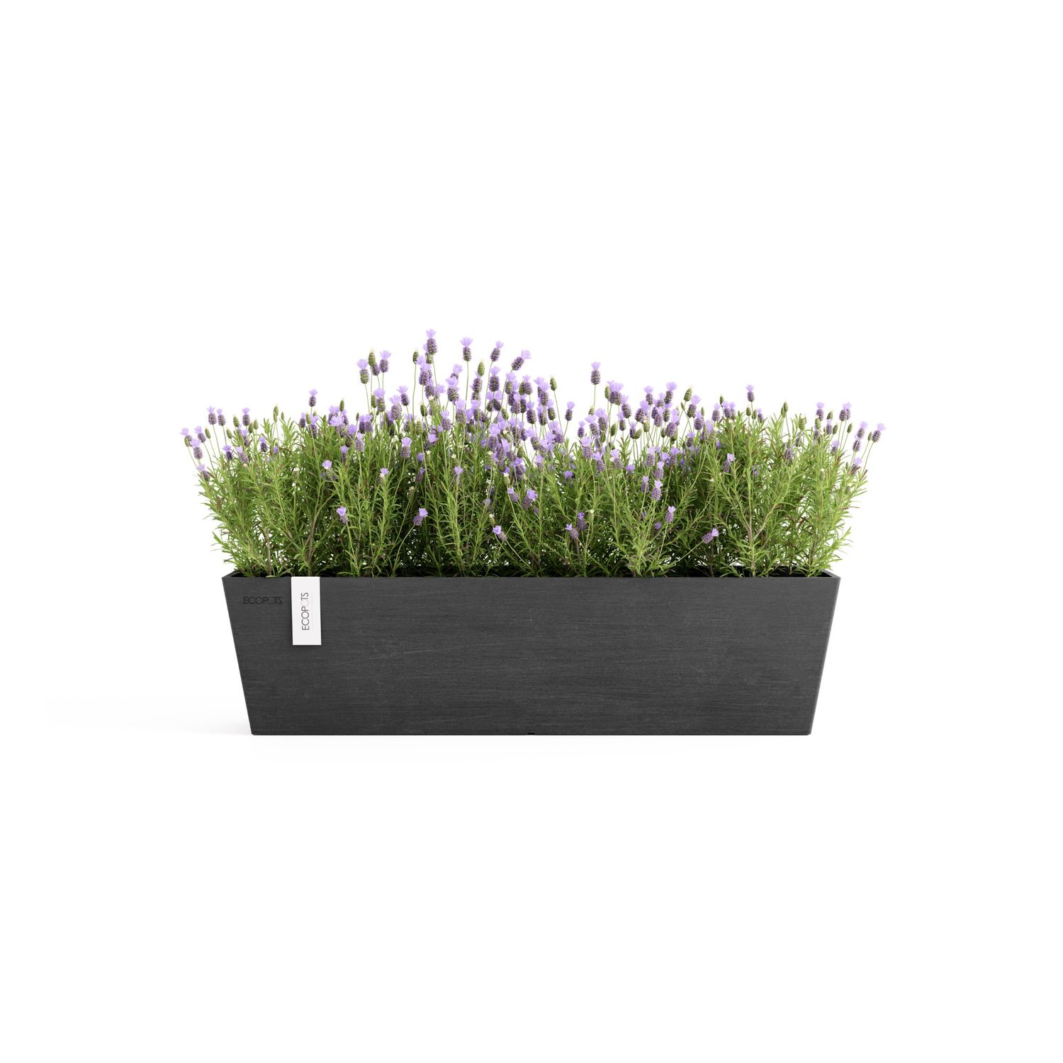 Ecopots Bruges 65 Dark Grey