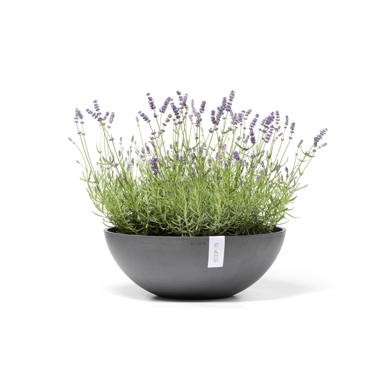 Ecopots Vienna 50 Grey
