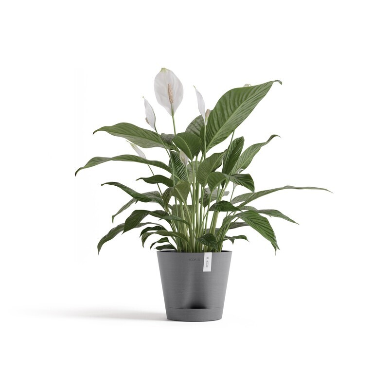 Ecopots Venice 2 20 Grey