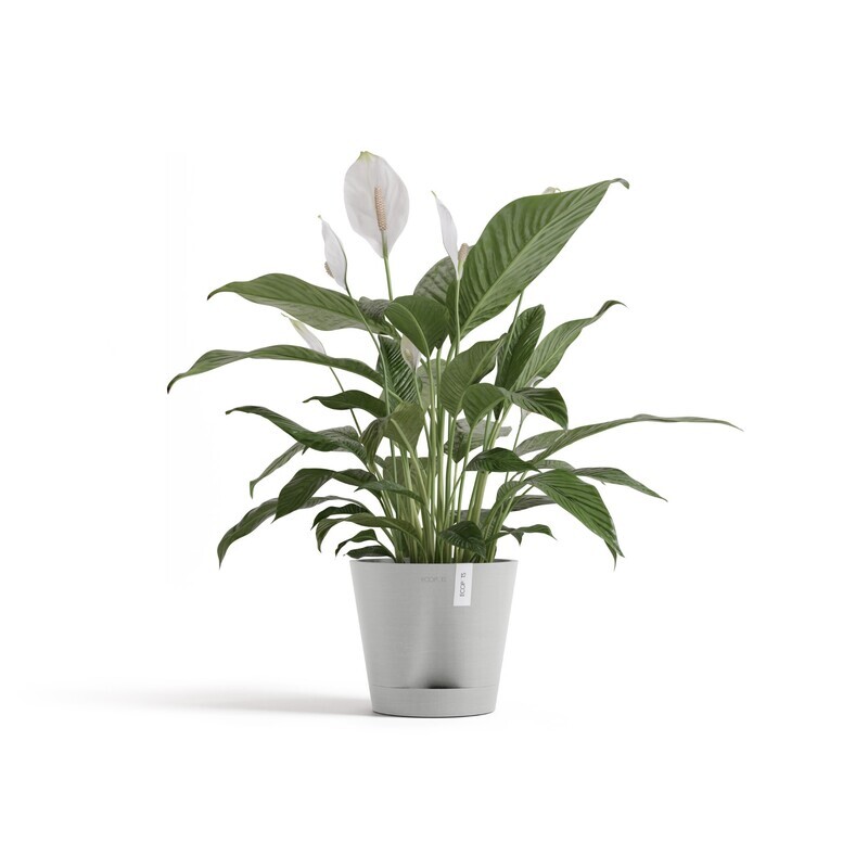Ecopots Venice 2 20 White Grey