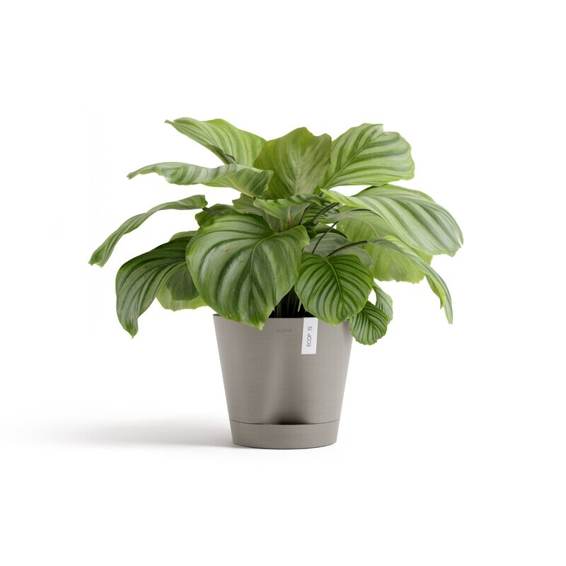 Ecopots Venice 2 30 Taupe