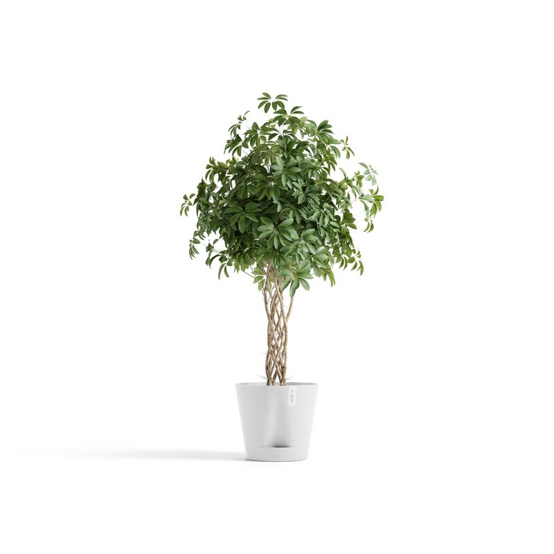 Ecopots Venice 2 40 Pure White