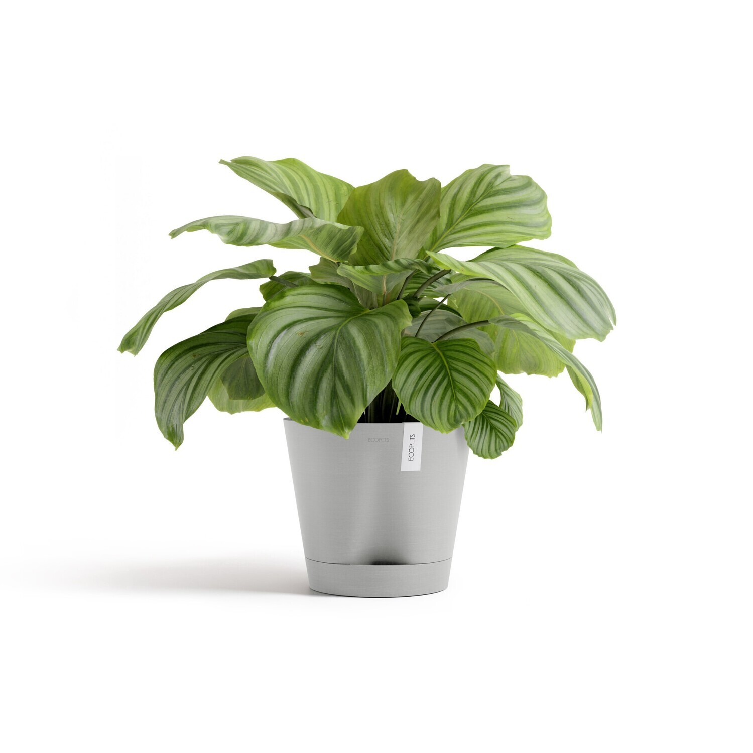 Ecopots Venice 2 30 White Grey