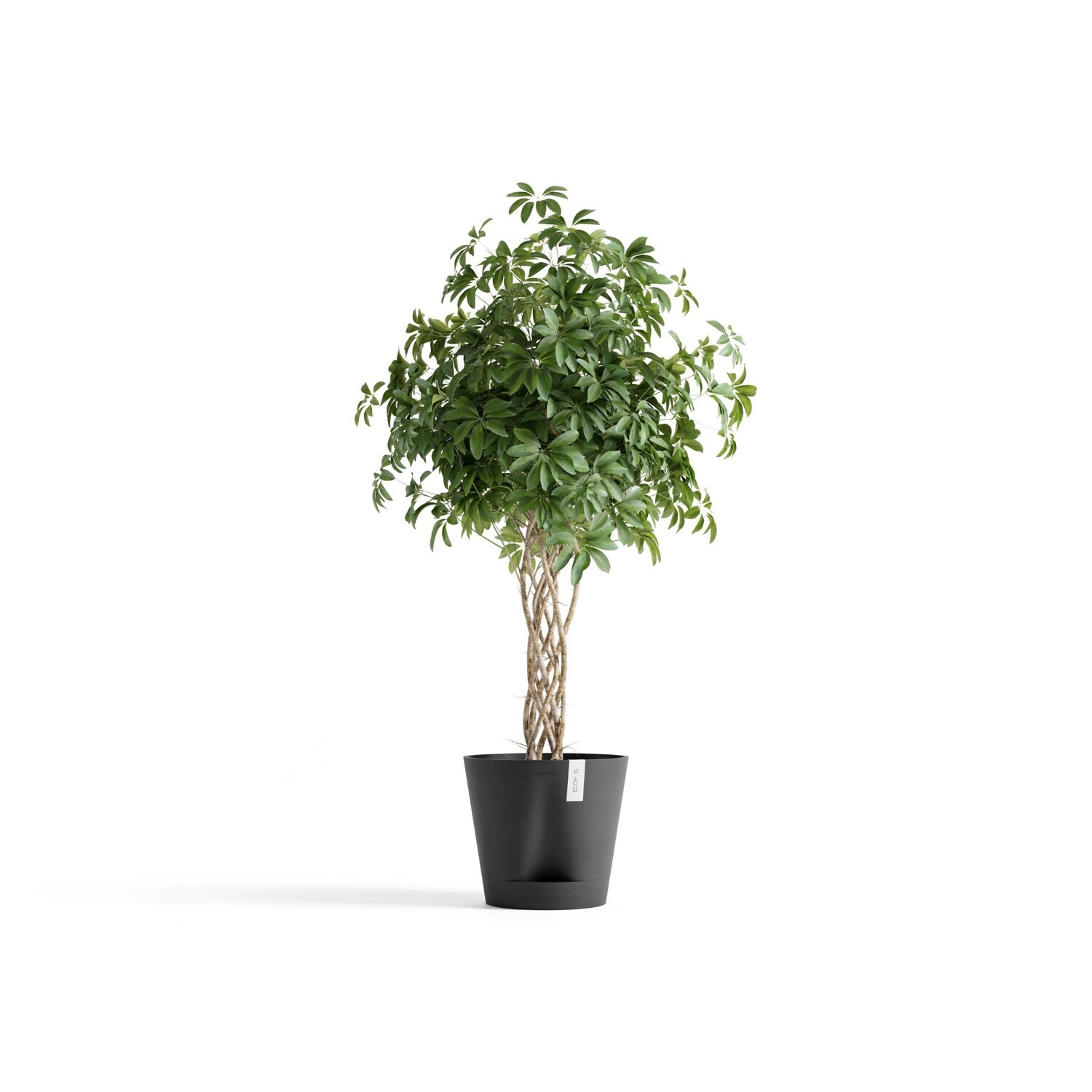 Ecopots Venice 2 40 Dark Grey