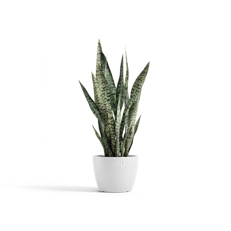 Ecopots Stockholm 24 Pure White