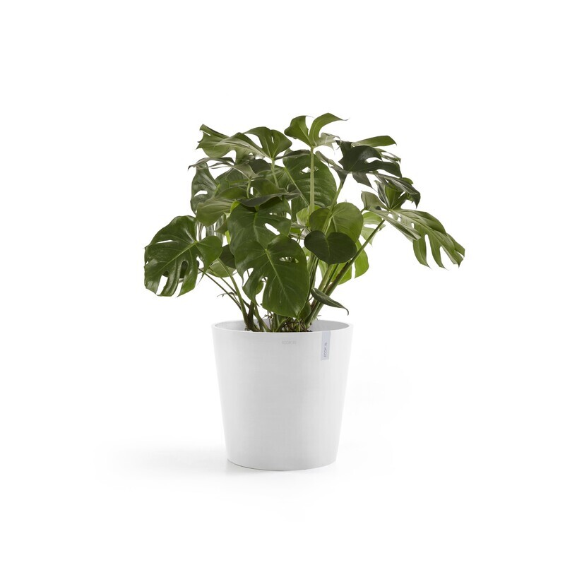 Ecopots Amsterdam 50 Pure White