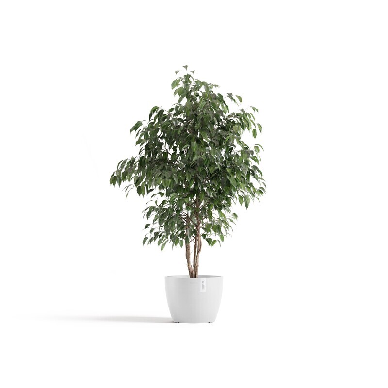 Ecopots Stockholm 31 Pure White