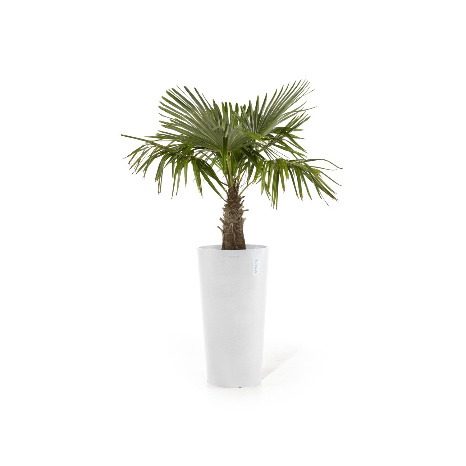 Ecopots Amsterdam Mid High 66 Pure White