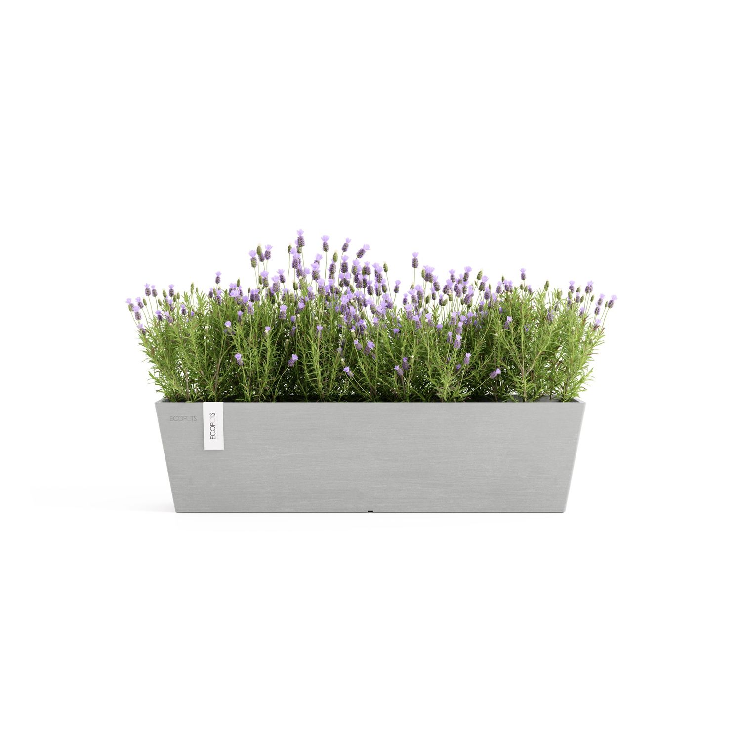 Ecopots Bruges 65 White Grey