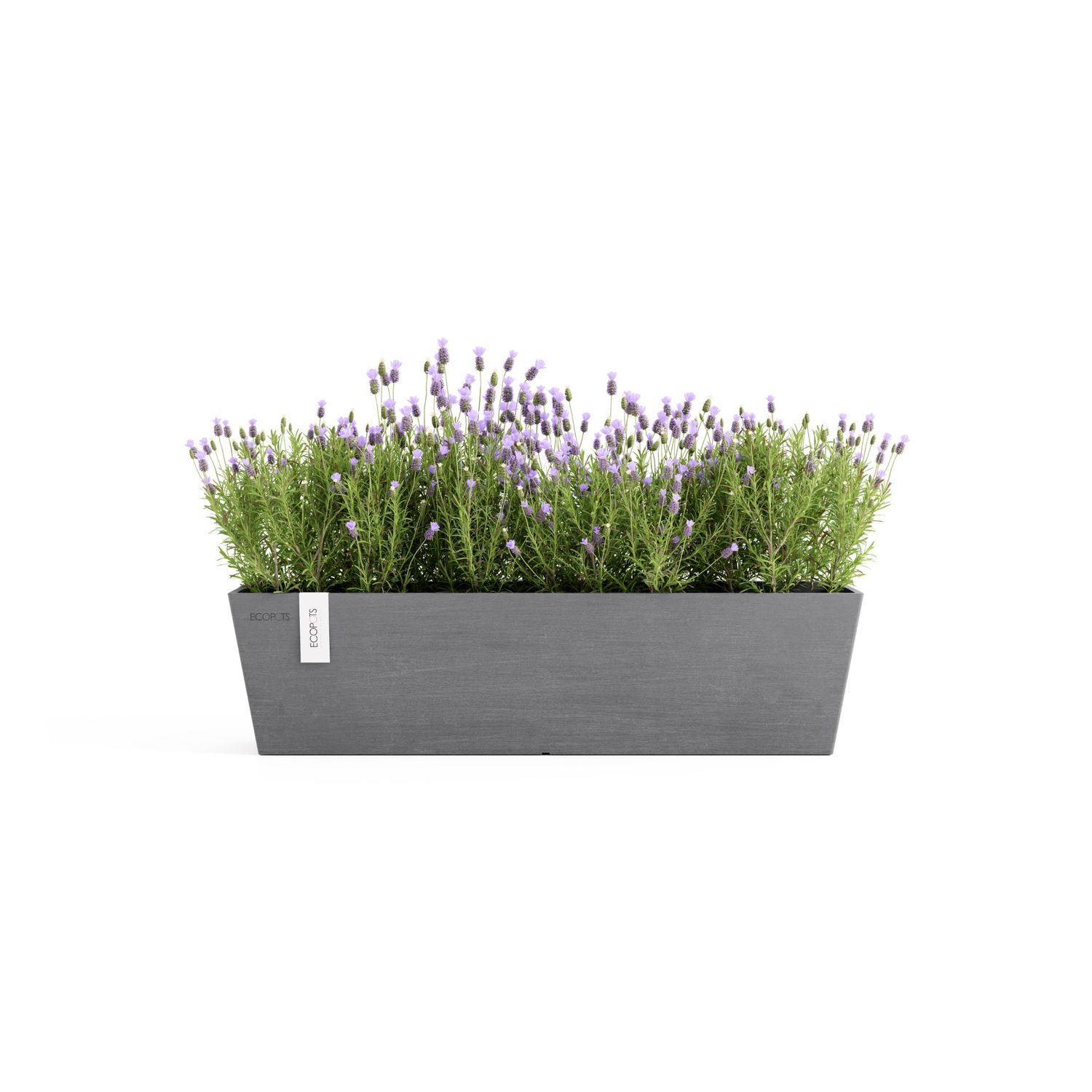 Ecopots Bruges 65 Grey