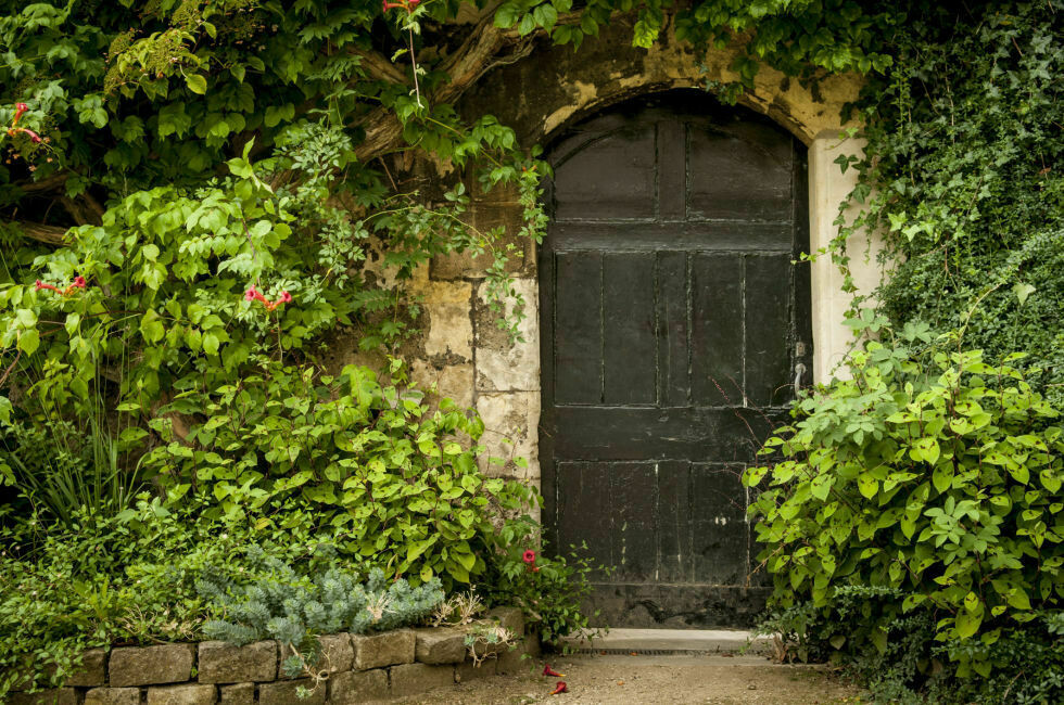 Unlock Your Manifesting Power