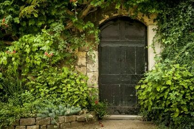 Unlock Your Manifesting Power