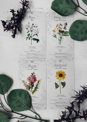 Botanical Witchery