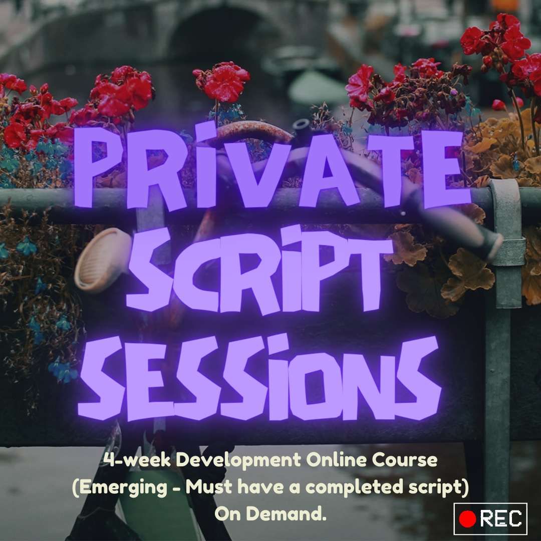 Private Consultation - TV Series