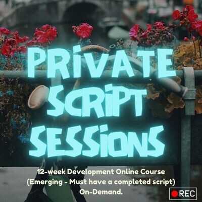 Private Consultation - Writing Class